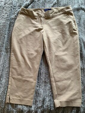 Apt 9 size 14 , Style is Torie, BeigeCropped Dress Pants